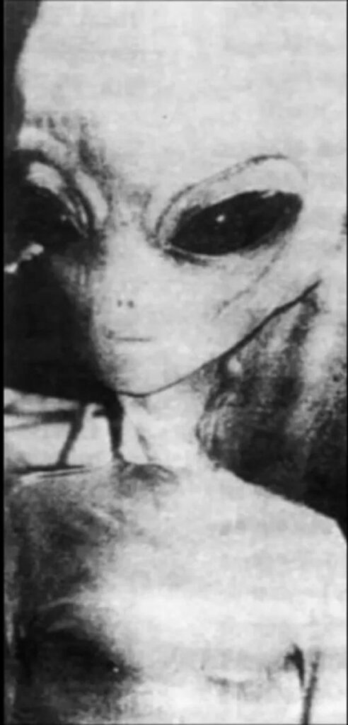 EBE-1. Снятый на фотоловушку